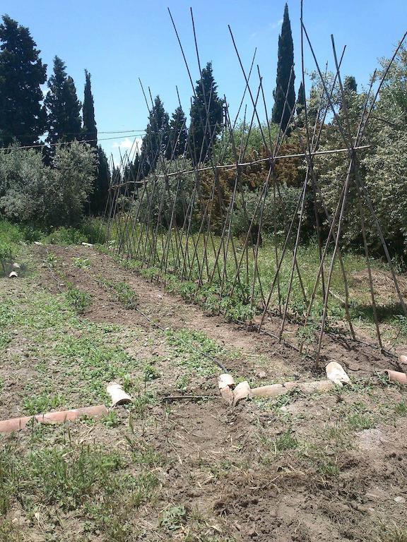 Гостевой дом Cortijo Algabia Алендин Экстерьер фото